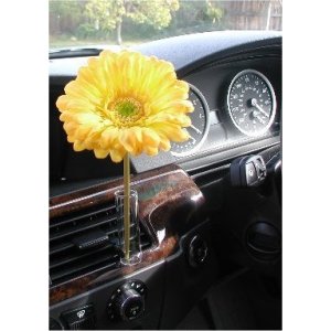 Gerber Daisy - Yellow